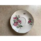 Duchess Wild Rose Of Banff Alberta Gold Trimmed Tea Cup And Saucer Set