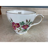 Duchess Wild Rose Of Banff Alberta Gold Trimmed Tea Cup And Saucer Set