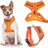Dexil Color Coded Dog Awareness Harness Small "No Dogs" Orange