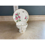 Duchess Wild Rose Of Banff Alberta Gold Trimmed Tea Cup And Saucer Set