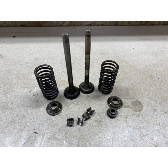 Wisconsin Air Cooled ABN Single Cylinder Engine Valves And Springs USED