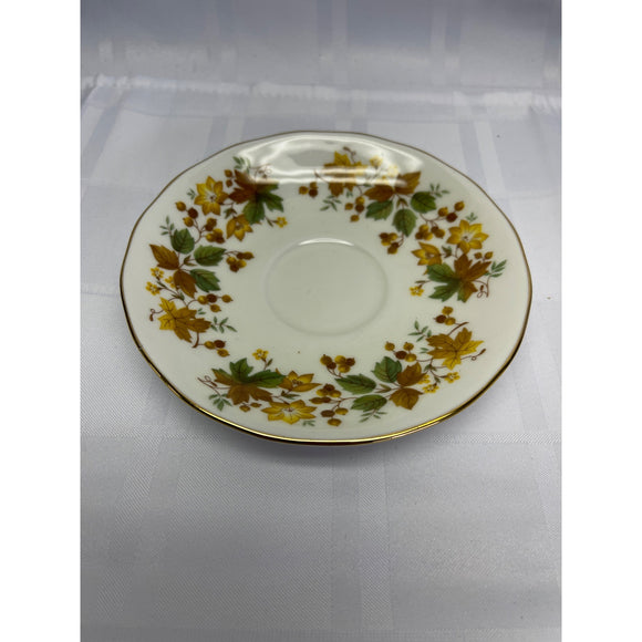 Queen Anne Orphaned Saucer Fine Bone China England Autumn Leaves