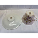 Rosina Teacup Saucer Set Vintage Bone China England Pale Pink Purple Floral