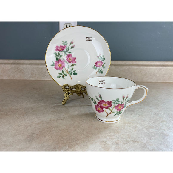 Duchess Wild Rose Of Banff Alberta Gold Trimmed Tea Cup And Saucer Set