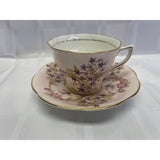 Rosina Teacup Saucer Set Vintage Bone China England Pale Pink Purple Floral